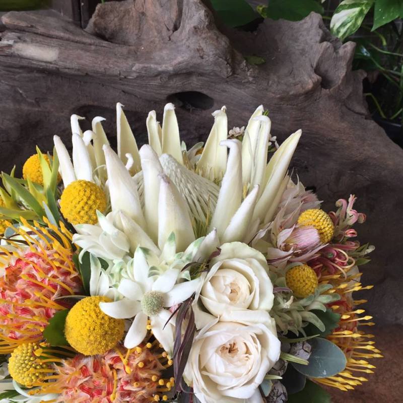Native Wedding 2